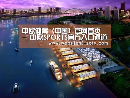案例展示八