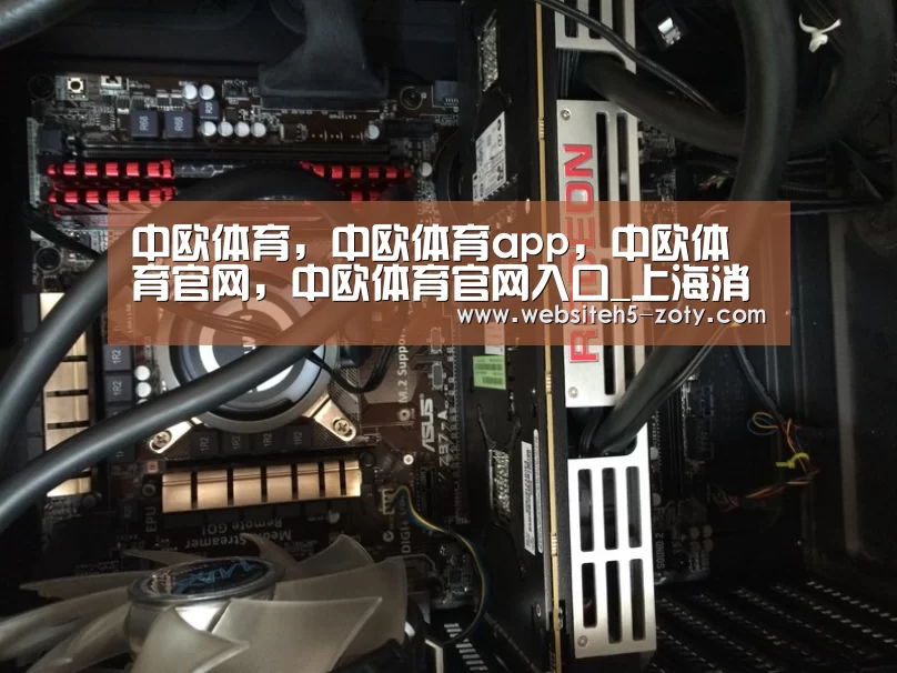 中欧体育，中欧体育app，中欧体育官网，中欧体育官网入口