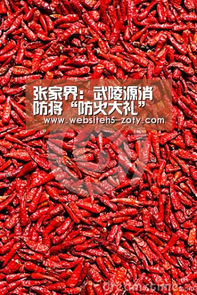 中欧体育，中欧体育app，中欧体育官网，中欧体育官网入口