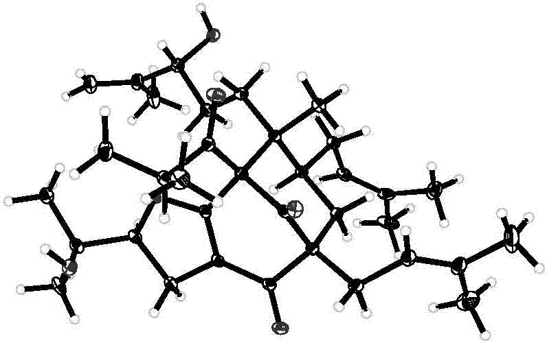 中欧体育，中欧体育app，中欧体育官网，中欧体育官网入口