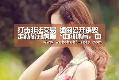 中欧体育，中欧体育app，中欧体育官网，中欧体育官网入口