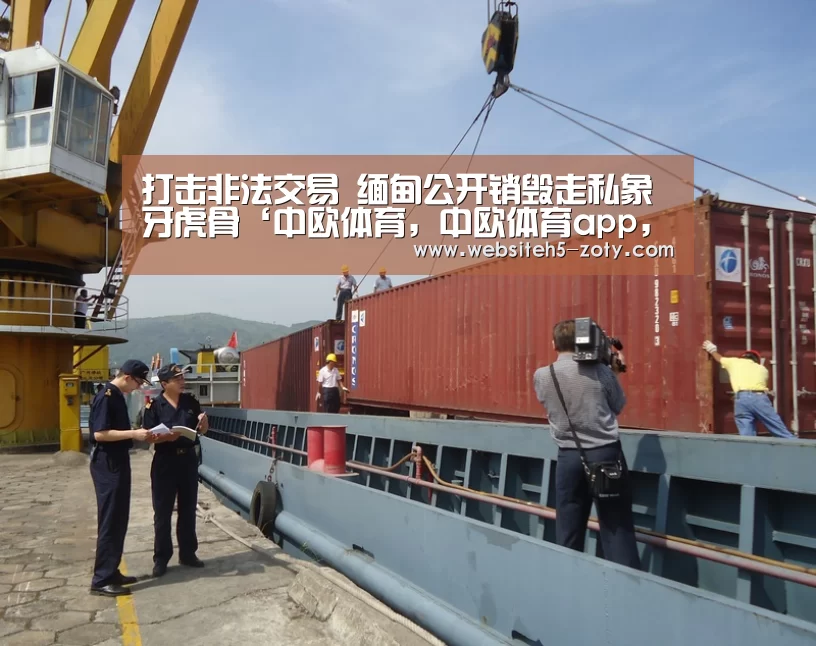 中欧体育，中欧体育app，中欧体育官网，中欧体育官网入口
