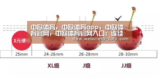 中欧体育,中欧体育app,中欧体育官网,中欧体育官网入口:连续暴雨引山洪 石嘴山消防奋战3小时救15人(图2) 中欧体育,中欧体育app,中欧体育官网,中欧体育官网入口
