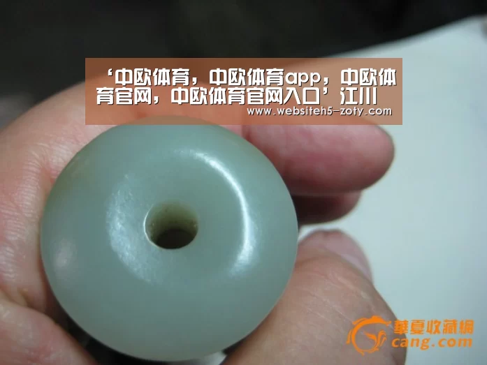 中欧体育，中欧体育app，中欧体育官网，中欧体育官网入口