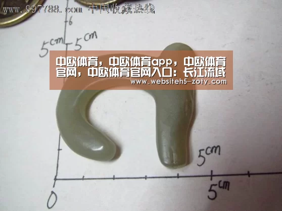 中欧体育，中欧体育app，中欧体育官网，中欧体育官网入口