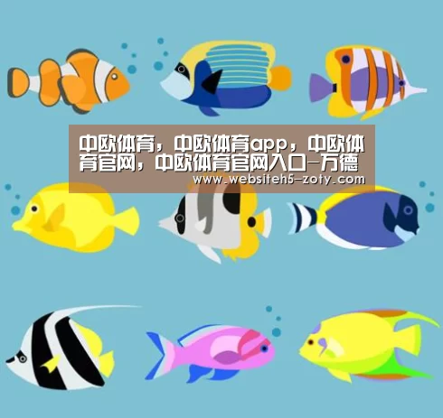 中欧体育，中欧体育app，中欧体育官网，中欧体育官网入口