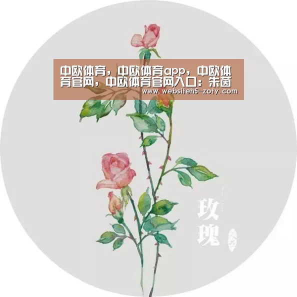 中欧体育，中欧体育app，中欧体育官网，中欧体育官网入口